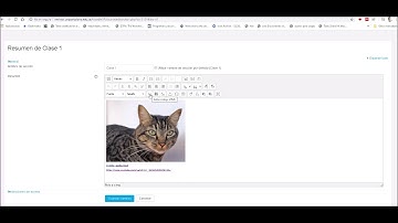Tutorial Moodle 3.21 - 3.8 - ¿Cómo incrustar o embeber un video por código html? |Rol docente