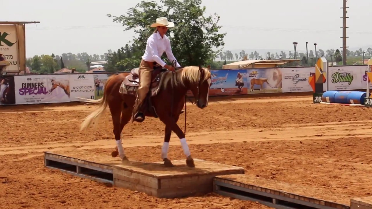 נעם תחרות רכיבה בחוות שרונה