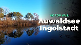 Chilled Tranquility at Auwaldsee | Calm POV Nature Walk in –6°C | 4K UHD screenshot 1