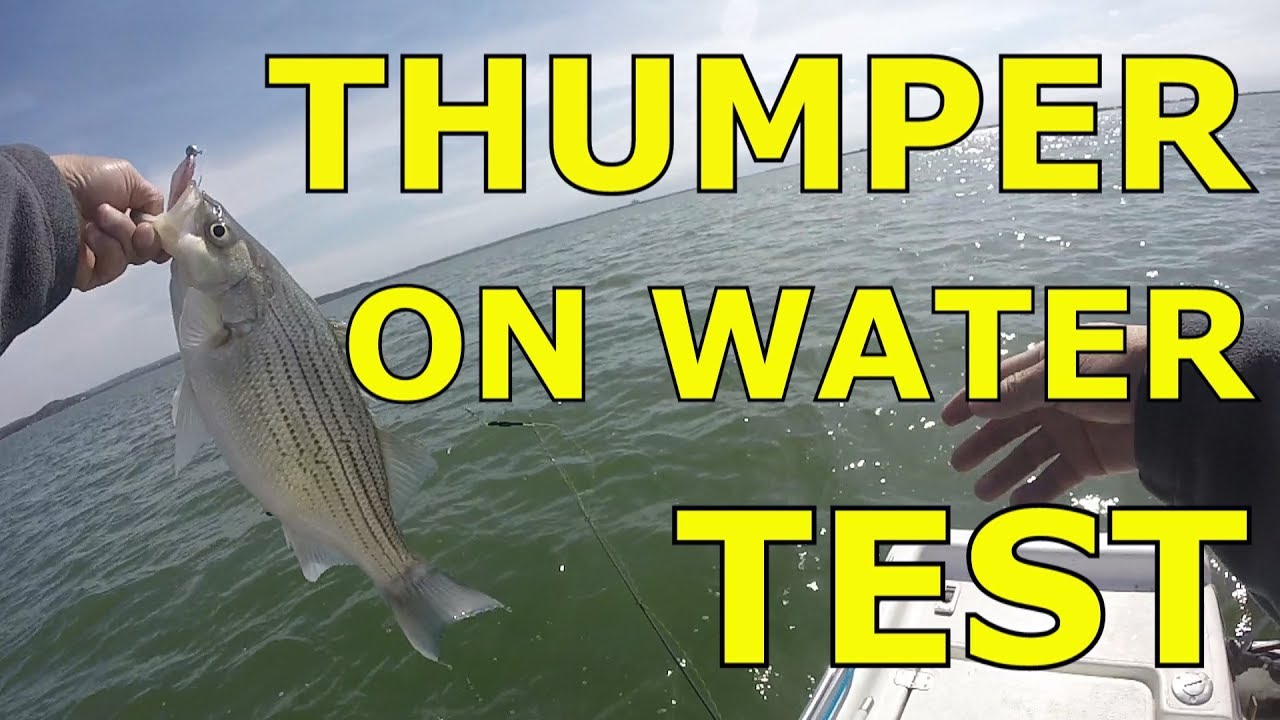 Automatic thumper on the water test for stripers, hybrids, whitebass lake  Buchanan Februaru 2018 