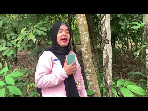 Video: Kayu Gubal: Apa Itu Dan Apa Perannya? Gubal Pohon Cemara Dan Pohon Lainnya. Di Mana Letaknya Di Batang Tanaman Berkayu? Menggabungkan