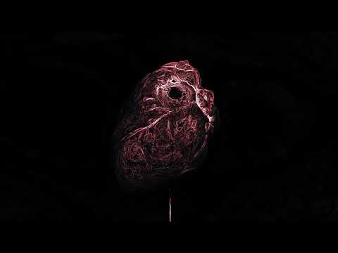 Midwinter - Poison Dart Frog [Official Visualizer]