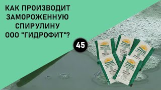 КАК ПРОИЗВОДИТ ЗАМОРОЖЕННУЮ СПИРУЛИНУ ООО &quot;ГИДРОФИТ&quot;?