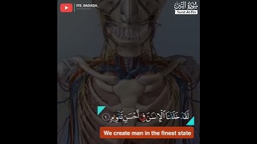 حالات واتس اب القران/ علي الحذيفي/سورة التين {وَالتِّينِ وَالزَّيْتُونِ}