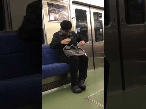 【ツイッターで話題】電車の中にトイレ我慢できないやつおったｗｗｗｗ