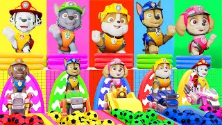 PAW Patrol Rescue Challenge: Ride a Bike, Treasure Chest, Rescue Reward Who Will Win?