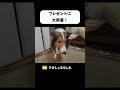 プレゼントに大興奮!視聴者様からいただきました #shorts