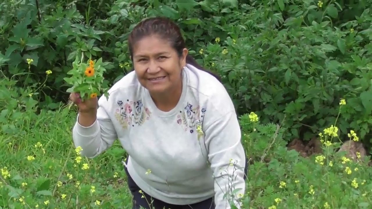 Huayno Sentimental TOTORA VERDE