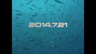 20140721