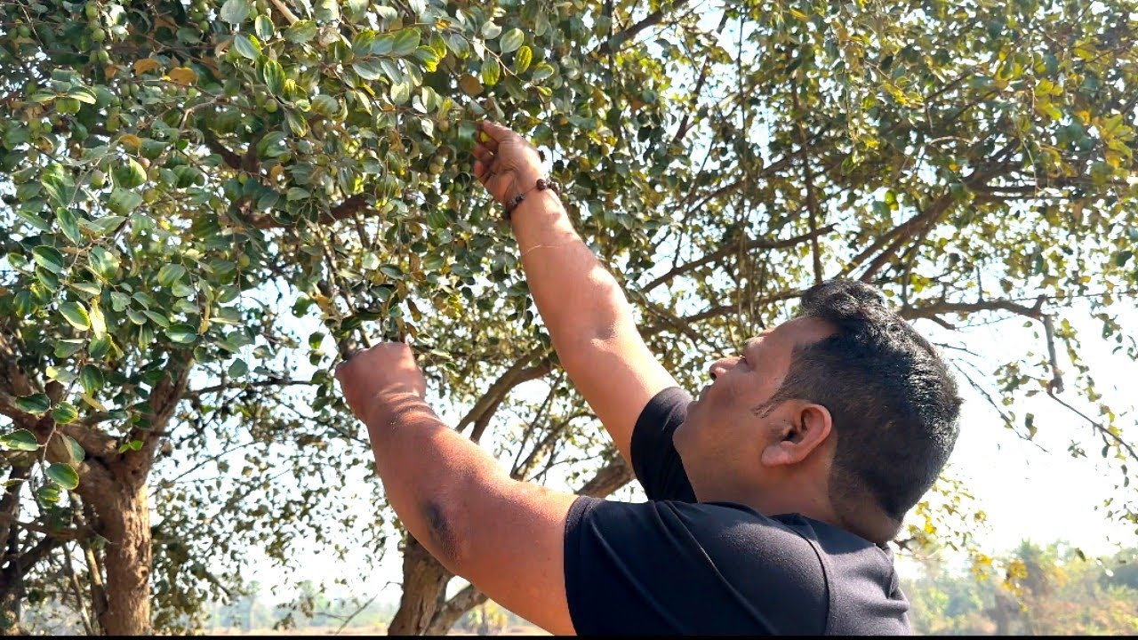 গ্রামে ঘুরতে যাওয়ার অভিজ্ঞতা/গ্রামের প্রাকৃতিক সৌন্দর্য/@villfood/গ্রামের পরিবেশ/Village Enviroment