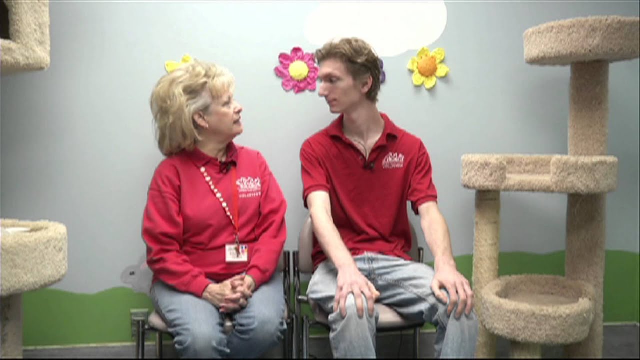 Irvine Pets & Co. 178a YouTube