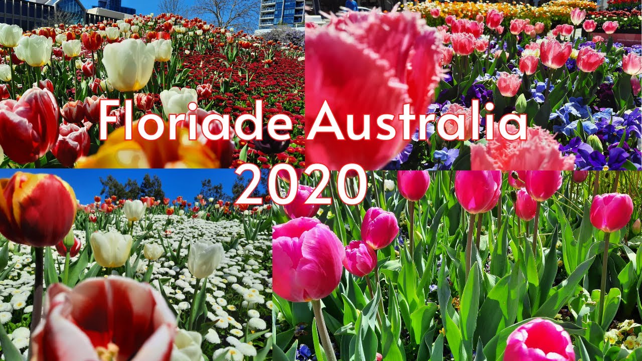Australia's Capital Spring  Celebration || Floriade Reimagined 2020 || Flowers Festival In Canberra