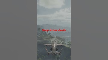 Wasp drone death #Breakpoint