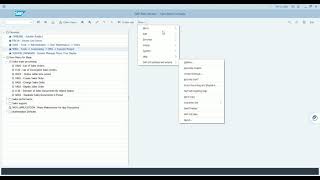 0 Navigation of SAP S4HANA