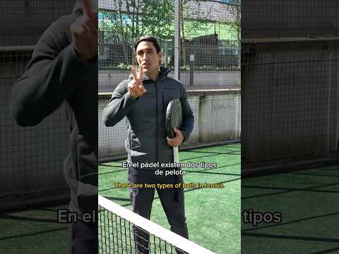 Escoge bien qué pelota debes jugar #aprendepadel #desdedentrodelpadel #padel