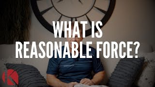 WHAT IS REASONABLE FORCE?