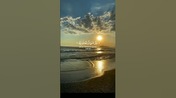 {واذكر ربك اذا نسيت وقل عسي ان يهديني ربي لاقرب من هذا رشدا} (سوره الكهف) المنشاوي #راحه_نفسيه