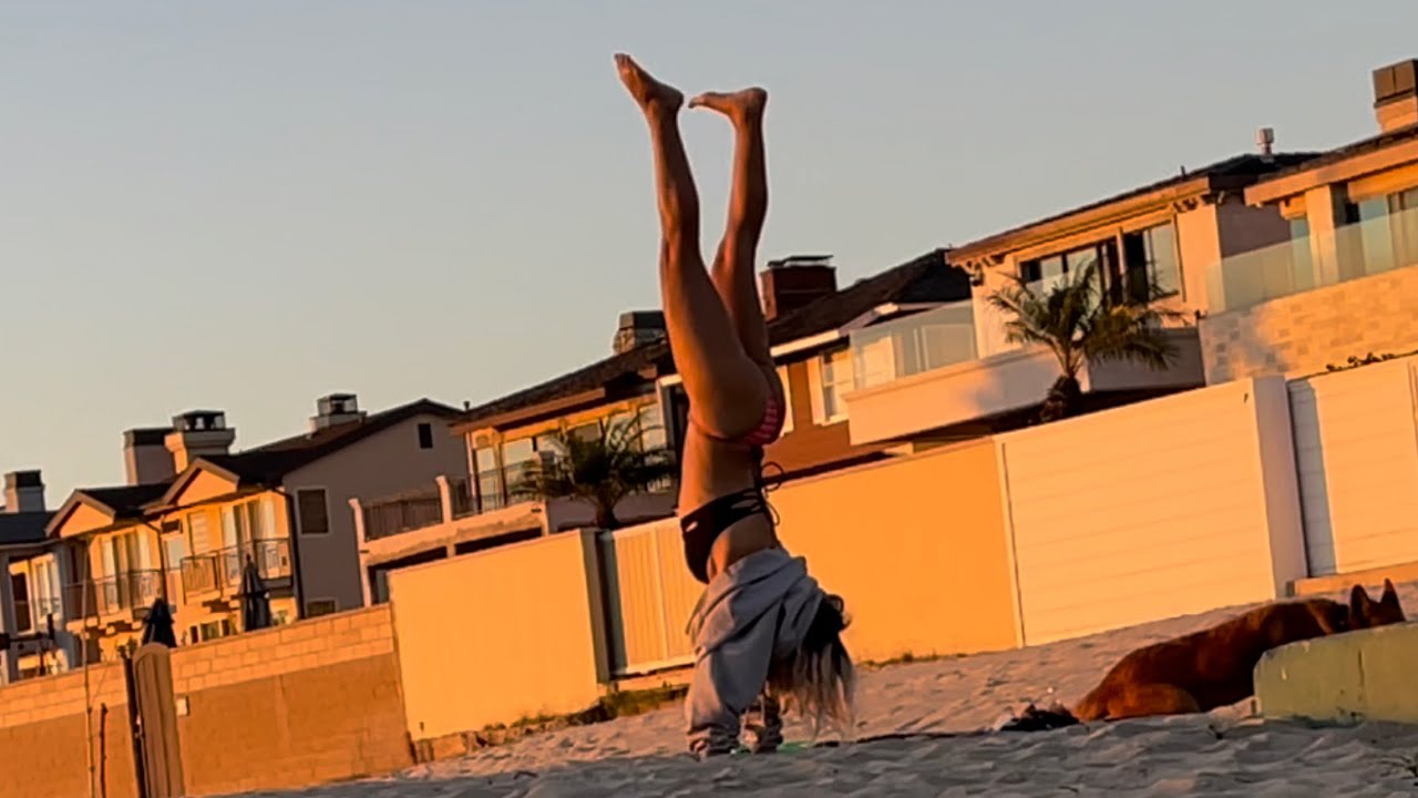 Your immaculate vibe curator 