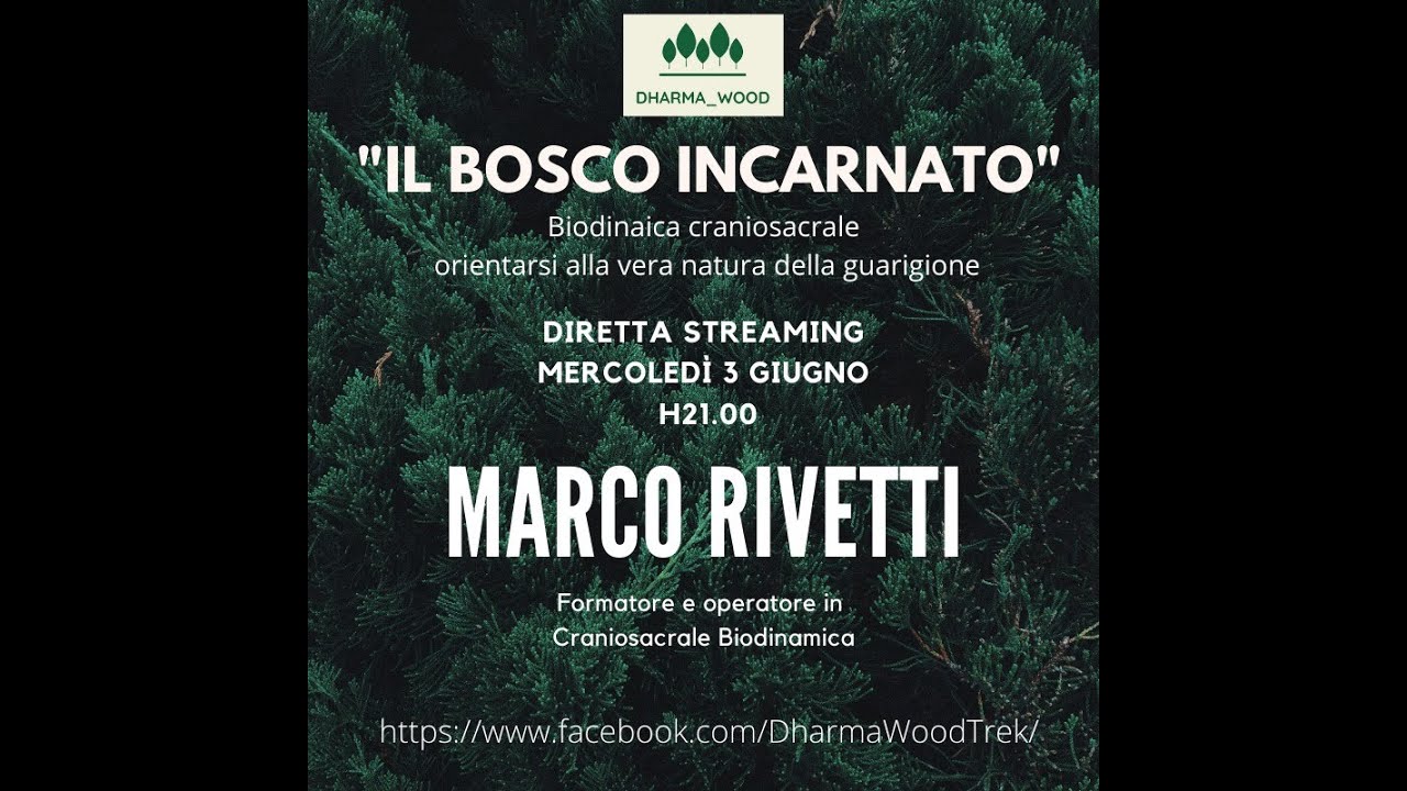 Dharma_Wood live con Marco Rivetti - YouTube