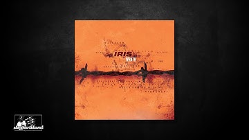 Iris - It Generates
