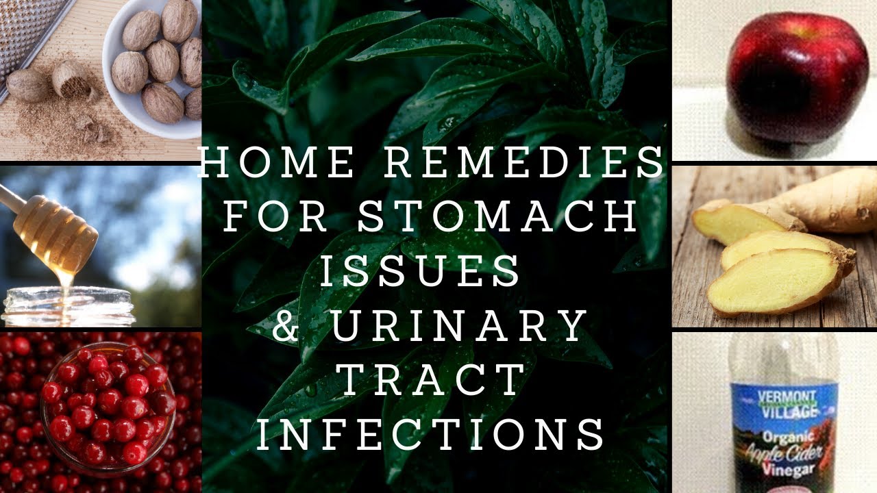 28. UTI & STOMACH INFECTION HOME REMEDIES ദഹന സംബന്ധമായതും മൂത്രാശയ