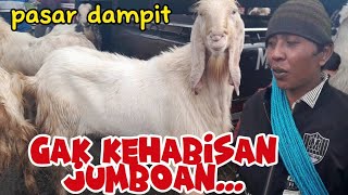 TERUPDATE‼️DARI PASAR DAMPIT||HARGA KAMBING JUMBO HARI INI 7/6/2023