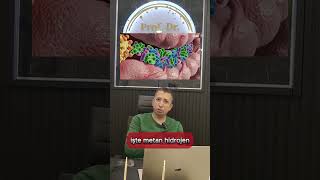 Sürekli Şişkinlik Ve Gaz? Belki De Sibodur Peki Tanısı Nasıl Konulur? Resimi