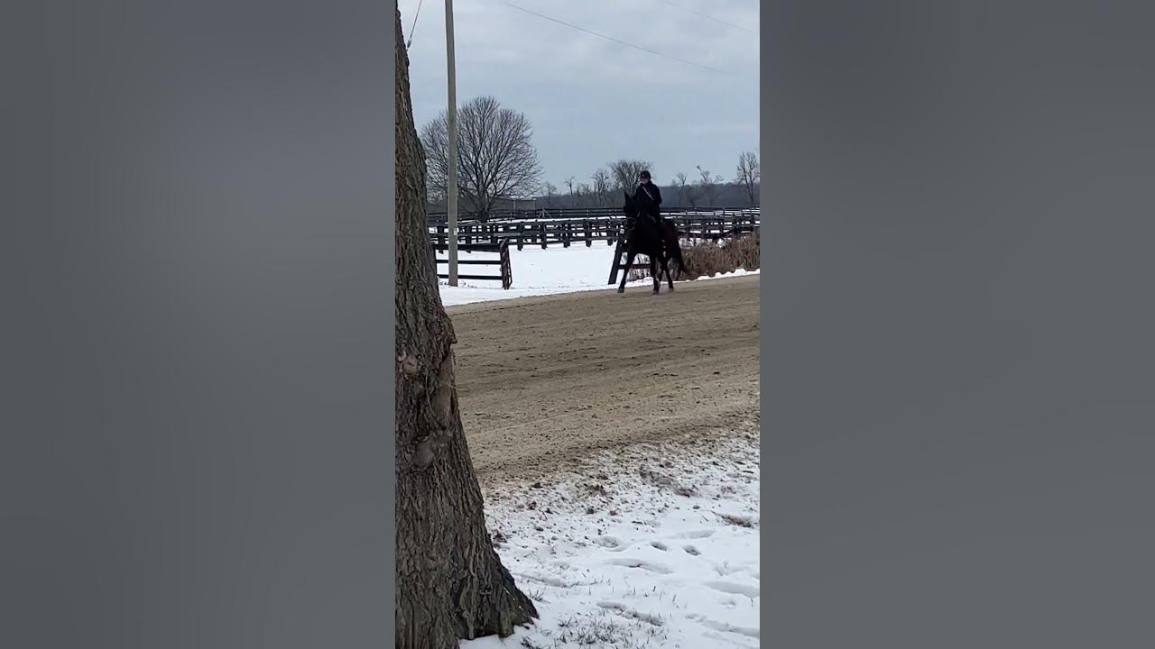 Slip Into Glide under saddle YouTube