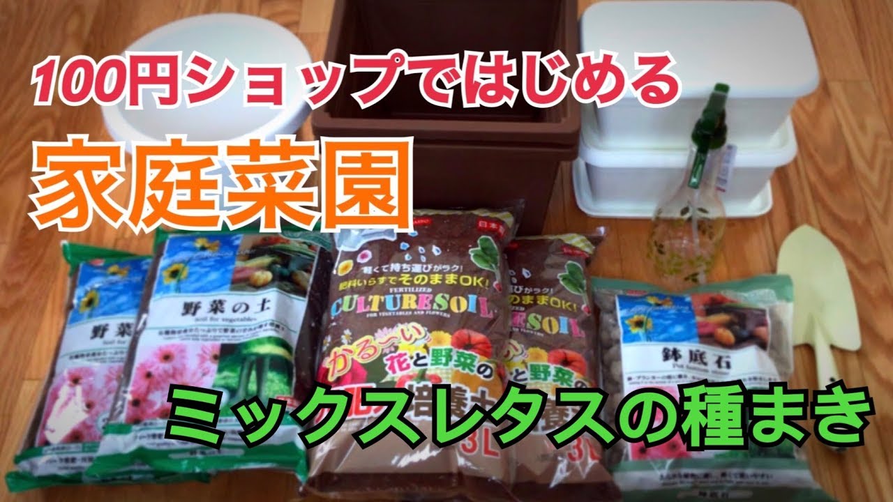 家庭菜園 初心者 プランターでオクラを栽培します 種まき編 Youtube