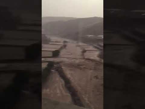 سيول وادي الخليصه ٢٤ ٧ ١٤٣٩