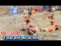           mo alli kushti 2021