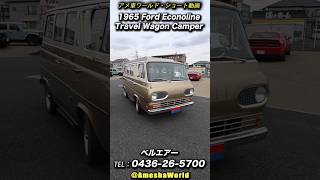 This is American midcentury! 1965 Ford Econoline Travel Wagon