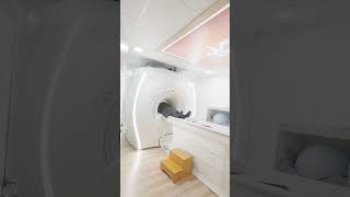 Ge. Sigma Explorer 1.5T Mr Cihazı