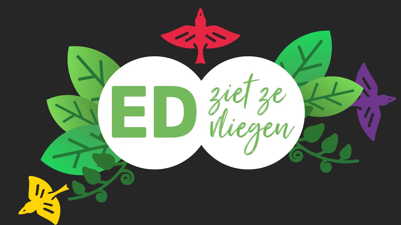 Ed Ziet Ze Vliegen #3: Op zoek naar bijzondere vogelsoorten in natuurgebied Klein Profijt