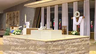 Miércoles 25 de marzo LA Anunciacion del señor