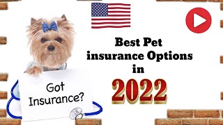 Top Pet Insurance Options in USA 2022 | What it costs, what it covers, and how to find the best