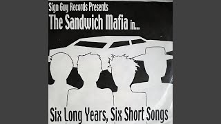 We're Not a Ska Band (But We Like It)