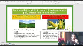 Stima dei Frutti pendenti e Anticipazioni colturali screenshot 5