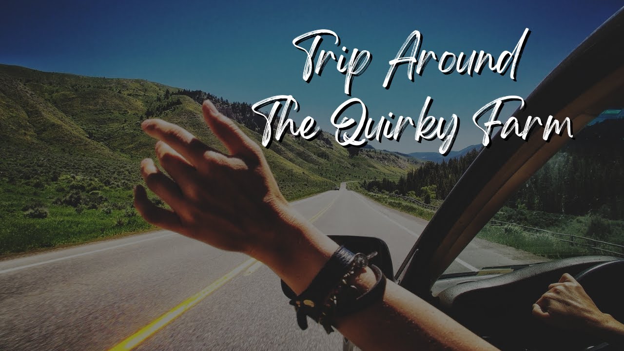 A Trip Around The Quirky Farm 