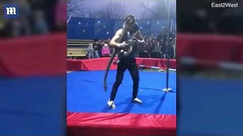 Video: Circus trainer is strangled to death by a python during live show