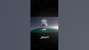 #راحة_نفسية #تلاوة_هادئة #تلاوة_خاشعة #قران #قران_كريم #محمد_اللحيدان #المصحف #المصحف #قرآن