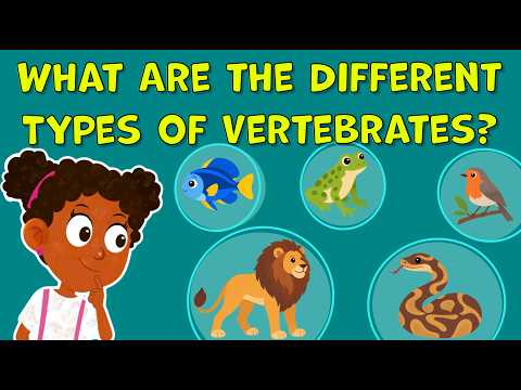 What Are the Different Types of Vertebrates