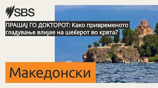 ПРАШАЈ ГО ДОКТОРОТ: Како привременото гладување влијае на шеќерот во крвта? | SBS Macedonian -...