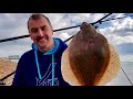 BRIGHTON WINTER PLAICE