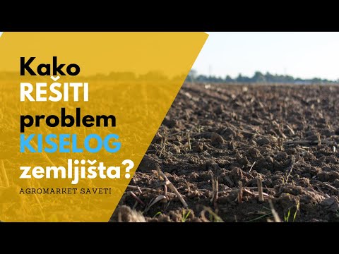 Video: Kako Sipati Amonijak Na Luk? Proporcije Za Hranjenje I Preradu Luka S Amonijakom, Ako Požuti. Kako Razrijediti?