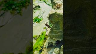 creative videography tutorial #shorts #shortvideo