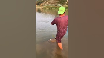 Câu cá bằng lưới đúc tuyệt vời 🐟 Câu cá bằng lưới hay nhất châu Á 🐟 #shorts