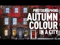 Photographing Autumn Colour in a city with a Nikon D700