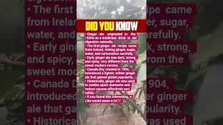 🥤 Ginger Ale has a fascinating history! Which fact did you already know? 👇