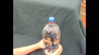 Cartesian Diver